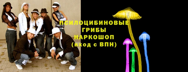 бутират Мегион