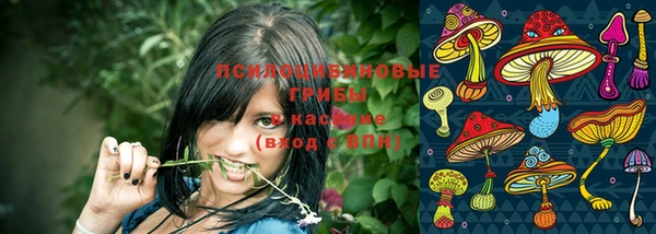 прущие крисы Медногорск