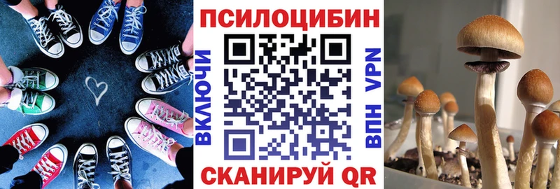 Псилоцибиновые грибы Psilocybe  Новошахтинск 