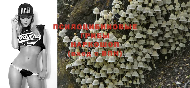 Псилоцибиновые грибы MAGIC MUSHROOMS  hydra   Новошахтинск 