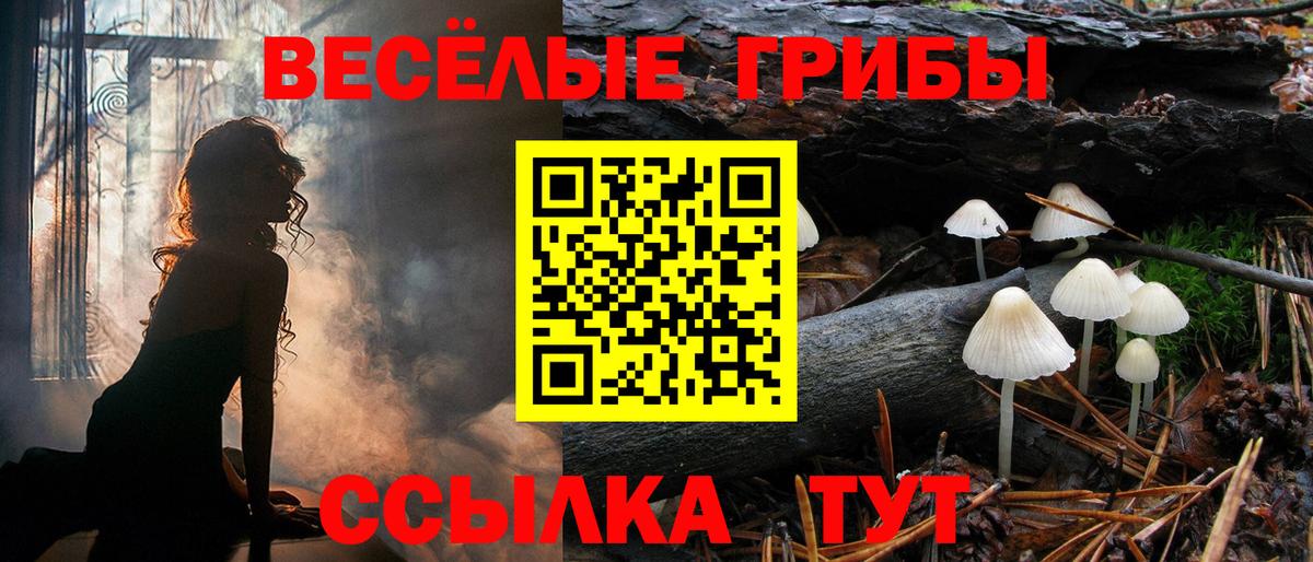 Галлюциногенные грибы Новошахтинск