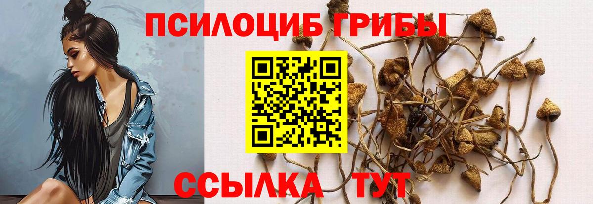 Галлюциногенные грибы прущие грибы Новошахтинск